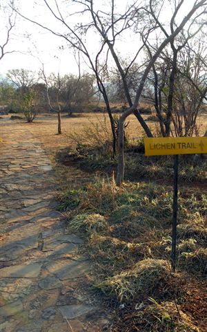 Lichen Trail in Sud Africa